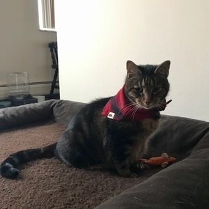 Meet your Posher, Allanah